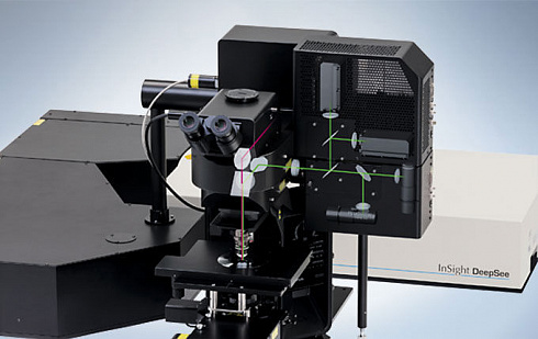OLYMPUS FVMPE-RS  Evident